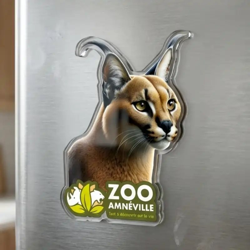 Magnets en acrylique transparent découpés sur mesure - vue 1