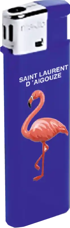 Briquets électroniques personnalisés par impression couleur